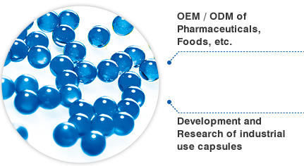 OEM / ODM of Pharmaceuticals, Foods, etc. / Development of industrial use capsules
