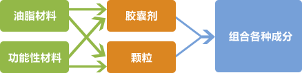 油脂材料→胶囊剂→组合各种成分  功能性材料→颗粒→组合各种成分