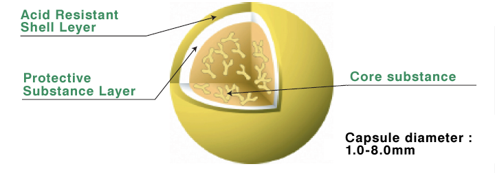 Acid Resistant Shell Leyer, Protective Substance Layer, Core substance, Capsule diameter: 1.0-8.0mm