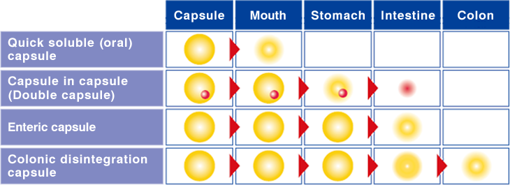 Quick soluble (oral) capsule , Capsule in capsule (Double capsule) , Enteric capsule , Colonic disintegration capsule