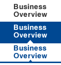 Business Overview