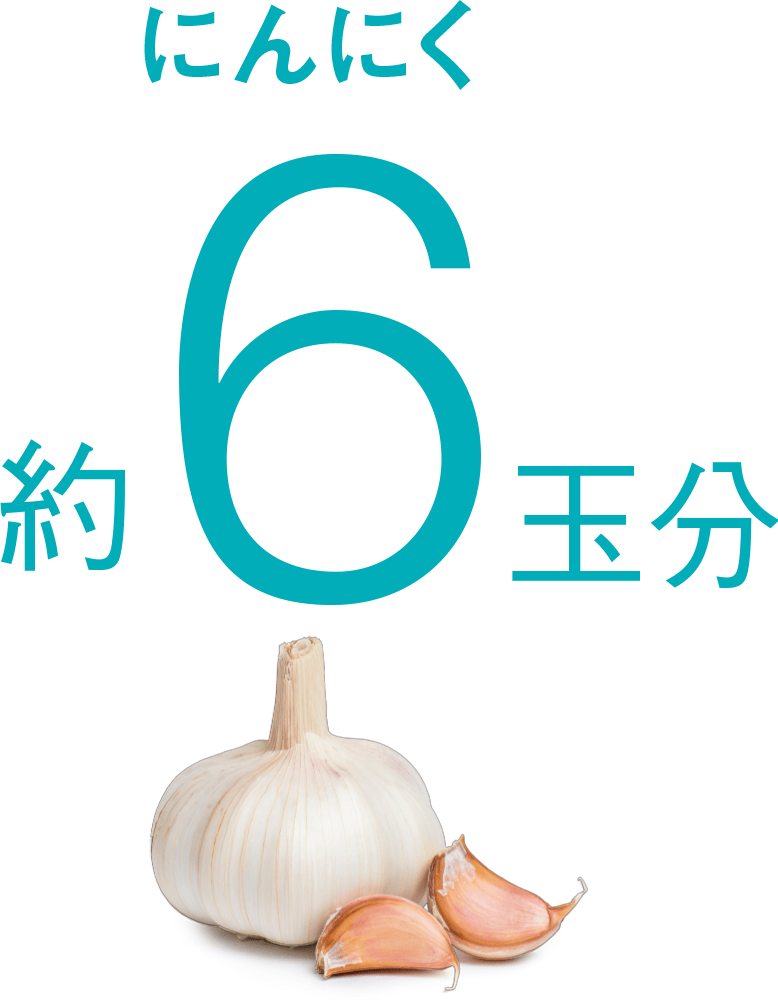 にんにく 約6玉分