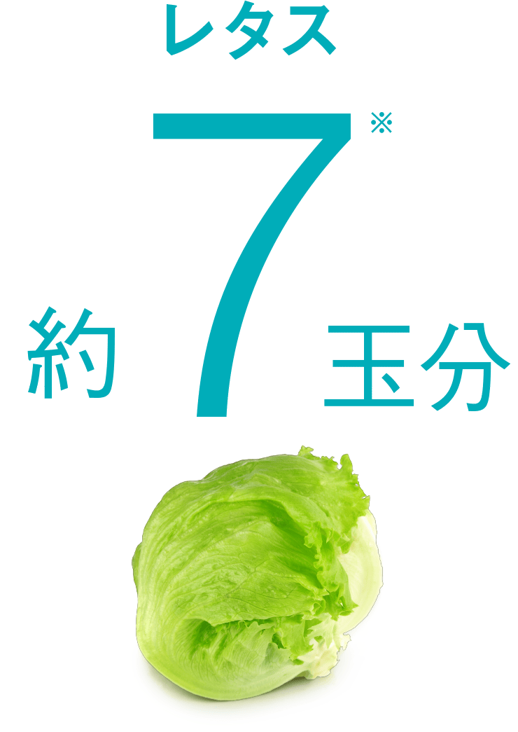 レタス 約7玉分